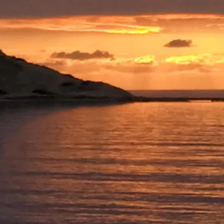 Appartement Palm Bay View Esentepe Bahceli *